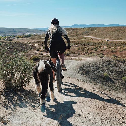 dog and biker